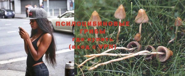 молекула духа Абаза