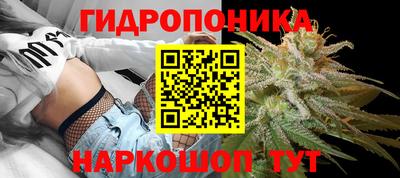 сатива Можайск